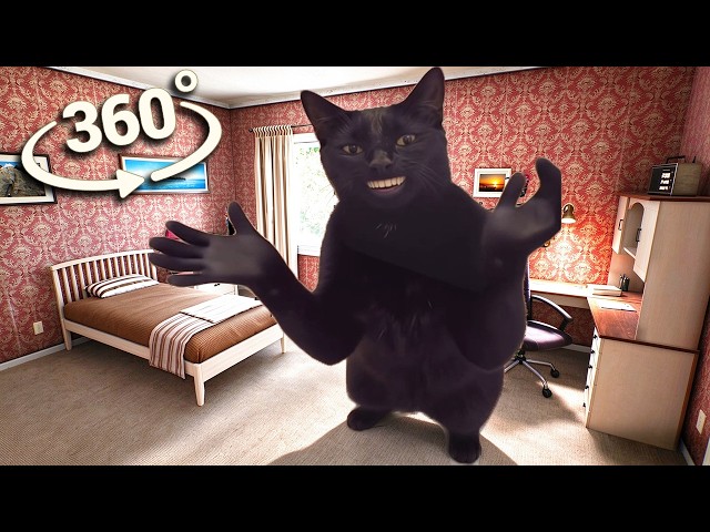 Clapping Cat 360° VR Movie Collection | CAT MEME Animation