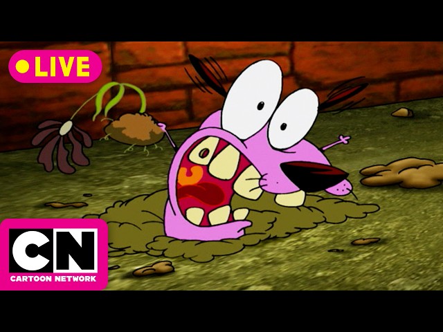 🔴 LIVE | Trick-Or-Toon 🎃👻🦇 | Cartoon Network