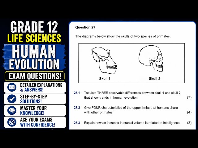 Grade 12 Human Evolution Exam question | Evolution| Life Science