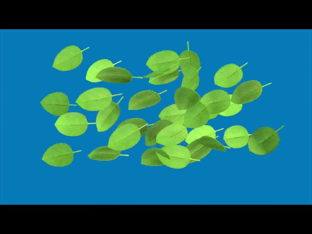 Measuring Leaf Area Index (LI-COR LAI-2200C)