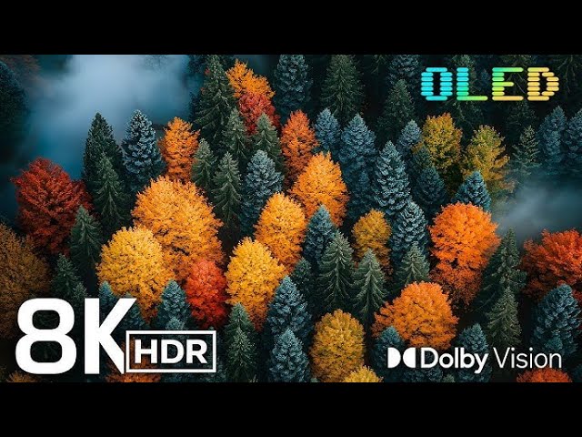 8K World SUPER Dolby Vision 120FPS 8K VIDEO ULTRA HD