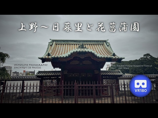 [3D VR180] 上野〜日暮里と花菖蒲園