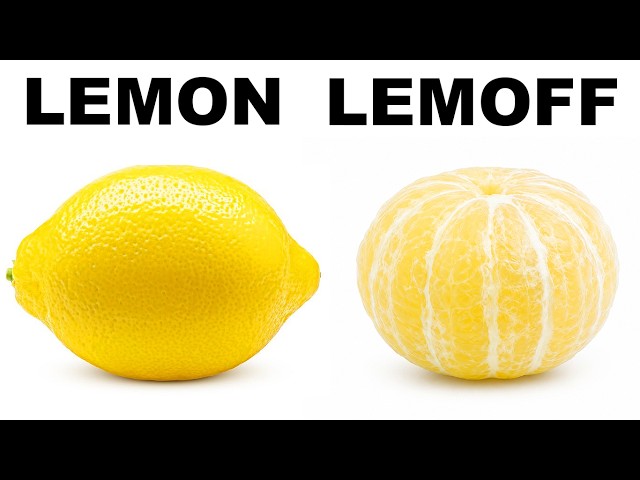 Memes That Are Literally Correct