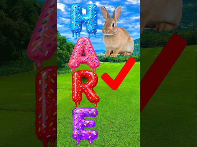 #foryou #abcd