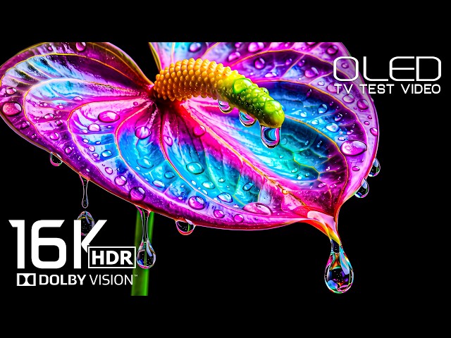 OLED test HDR Video | 16K Dolby Vision 120 fps for 8K Video/4K Video ULTRA HD TV