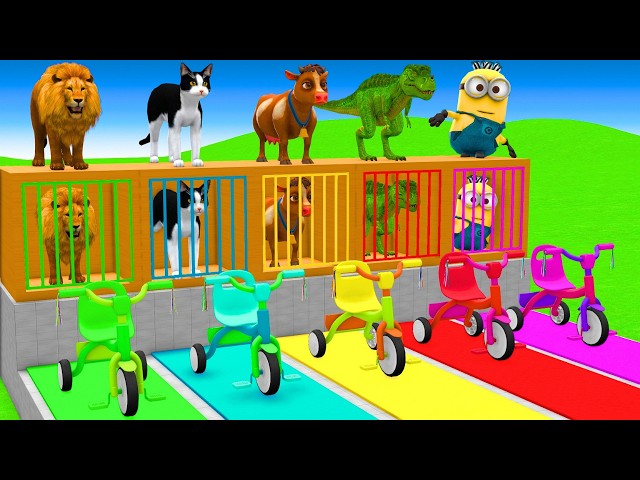 5 Giant Duck Cartoon,Cow,Elephant,Tiger,Lion,Dinosaur,Paint Wild Animals Crossing Fountain Animation