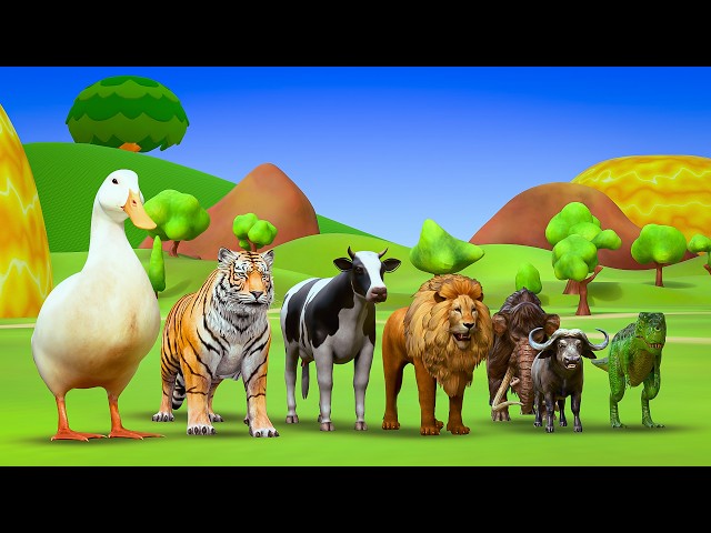 Long Slide Game With Cow Elephant Gorilla Lion Tiger 3d Animal Game Funny 3d Animals EP - 07