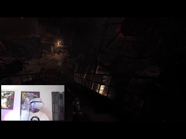 RESIDENT EVIL 4 VR2