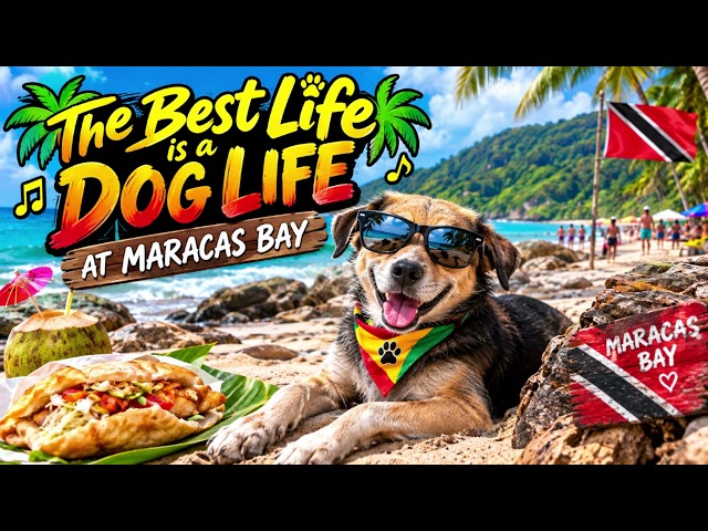 Dog's day at Maracas Bay  {Soca}