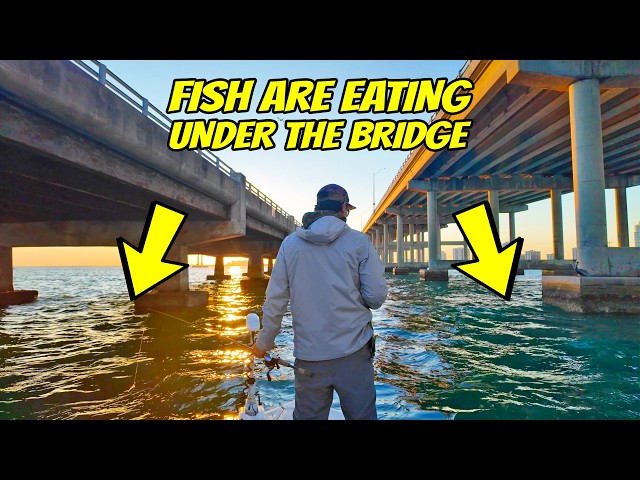 Bridge Fishing During Cold Front and Fish Kill (SAD!)