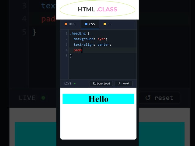 HTML CLASS Selector #coding #programming #csstutorial