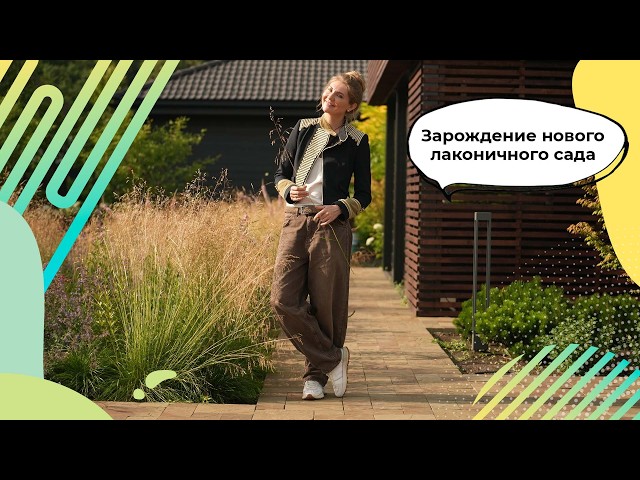 Modern Minimalist Garden | Layout Design: Straight Lines | Flower Beds | Screen Planting