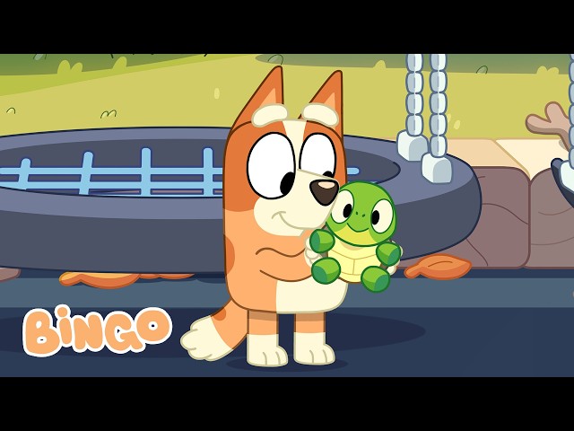 1 hour of mischief with Bingo! | Turtleboy 🐢🧡  | Bingo - Official Channel