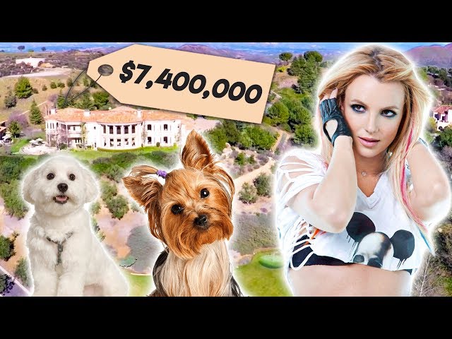 Britney Spears | Top 10 Insane Ways She Spends Her $250 Million Dollars