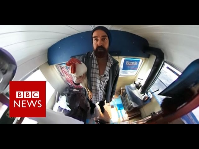 A rooster touring to support Bernie Sanders (360 video) BBC News