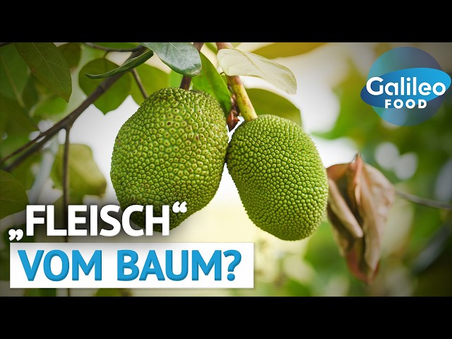 Schmeckt wie Fleisch, wächst am Baum: Kennst du schon Jackfruit? | Galileo Food