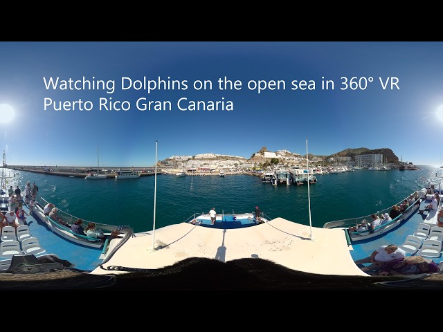 Watching Dolphins on the open sea in 360° 8K VR // Puerto Rico Gran Canaria