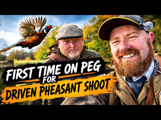 First time on Peg driven pheasant shooting 