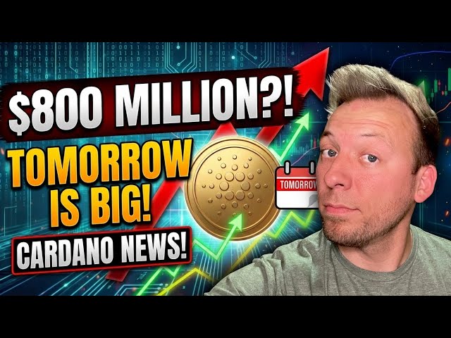 CARDANO ADA - Tomorrow Is Important! Over $800 Million! Important Cardano News!