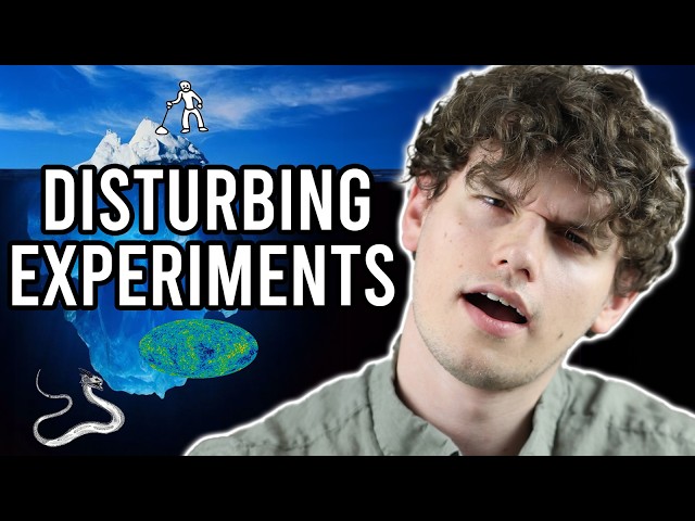 The Philosophical Paradox Iceberg Explained