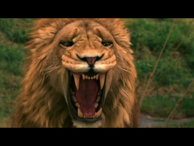 Narnia | Deep Magic: Aslan and Jadis talk | 4k 60fps IMAX