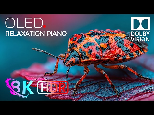 Pixel Perfect Test 16K Dolby Vision HDR 120fps for 4K • 8K Video Ultra HD TVs