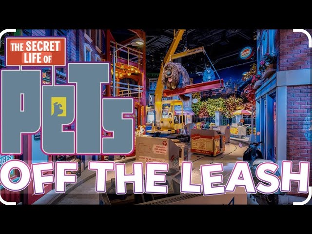 Universal Studios Hollywood | The Secret Life Of Pets - Off the leash ride | #universalstudios