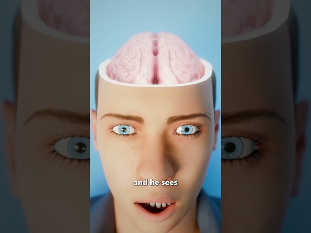 What happens if someone touches your brain? 🧠👆