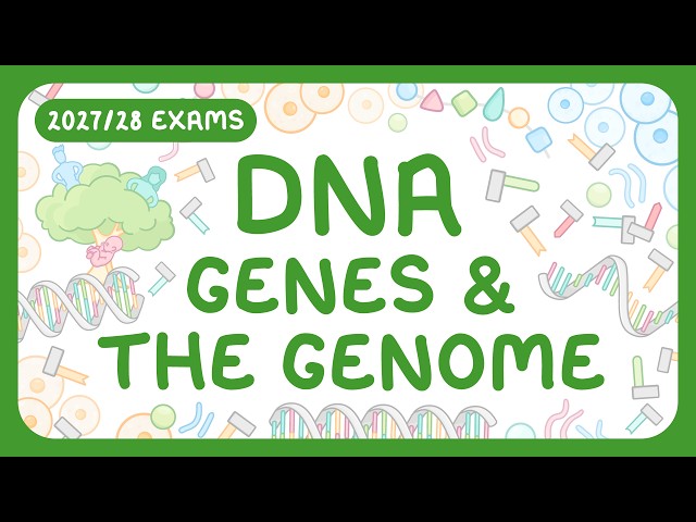 GCSE Biology - DNA Part 1 | Chromosomes & Genome (2027/28 exams)