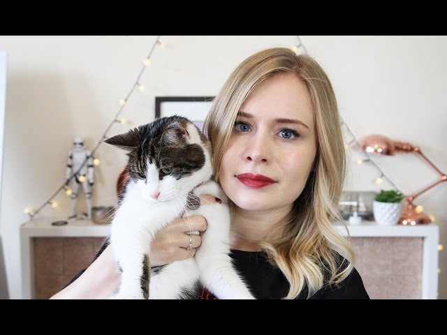 Are Pets Ethical?