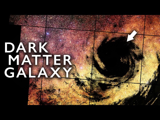 Euclid Found an Entire Galaxy Made of Dark Matter