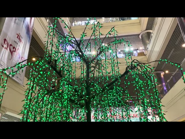 Tree Lighting in Mall 🌟 Lighted tree | Royalty free stock video footage - No copyright clips | 4K