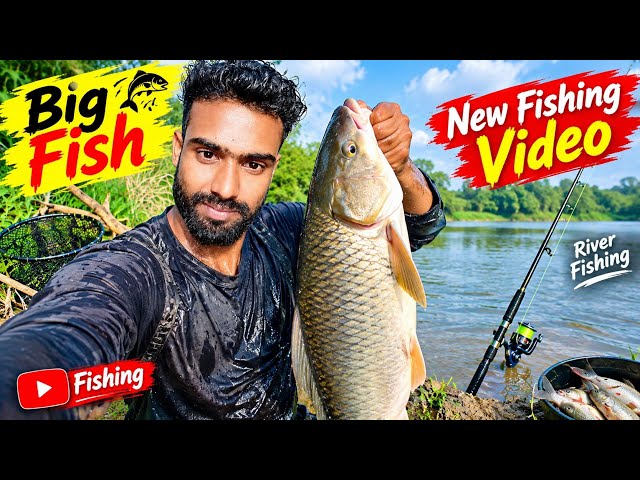 Amazing Big Fish Hunting |Real BigFishing |Best Polo Fishing. "Mk Fishing Video.fishing video.