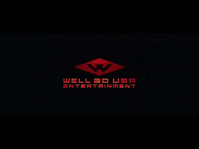 Well Go USA Entertainment (Your Lucky Day)