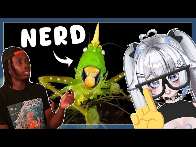 THE NERD OF NATURE... | VTuber Reacts to Casual Geographic