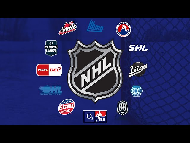 I put 1 team from all 13 leagues into a season (NHL 22)