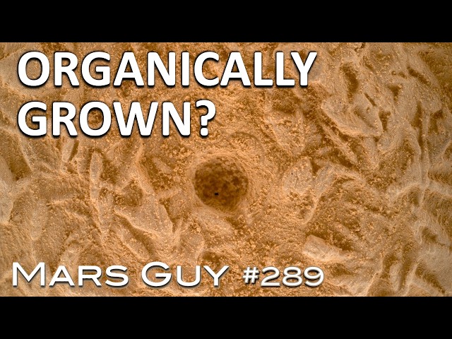 Strange shapes may be due to organic matter