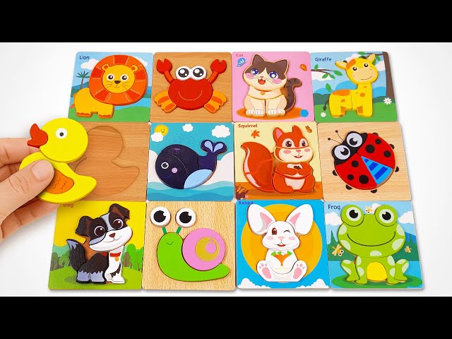 Best playtime Animal Names with Matching Puzzles | kids fun video for Kids & Toddlers