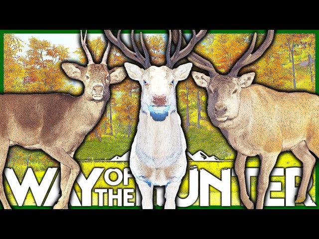 I Got the Trilogy of Trophies in Transylvania! | Way of the Hunter