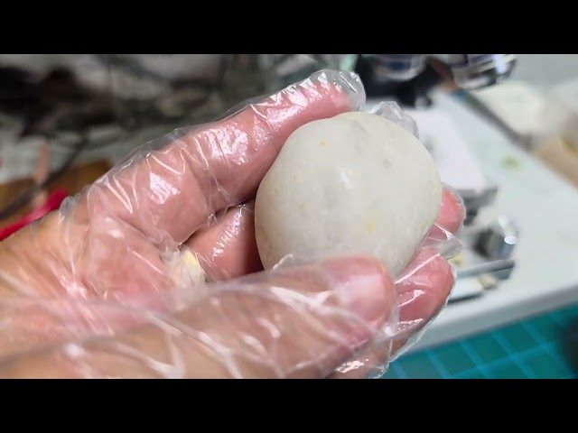 Finding Diamonds at Pohang Dinosaur Diamond Park Beach - Identifying why quartz and quartzite dif...