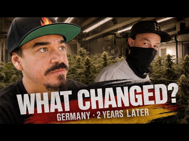 Germany Legalized Cannabis. Here’s What Happened 2 Years Later
