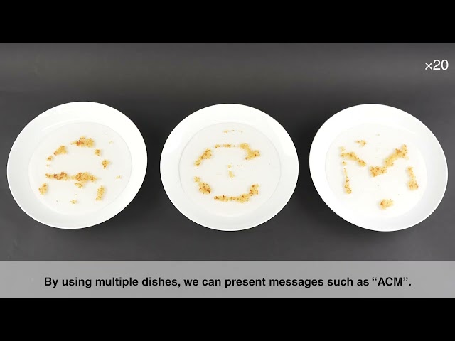 Dishplay: Edible Display Utilizing Magnetic Response of Iron in Cereal (Video Preview)