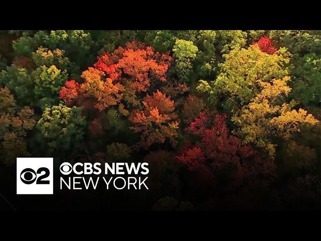 Fall foliage draws crowds to N.Y.'s Hudson Valley