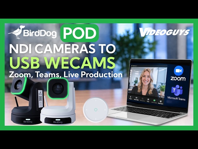 BirdDog POD: Turn NDI Cameras Into USB Webcams for Zoom, Teams & Live Production
