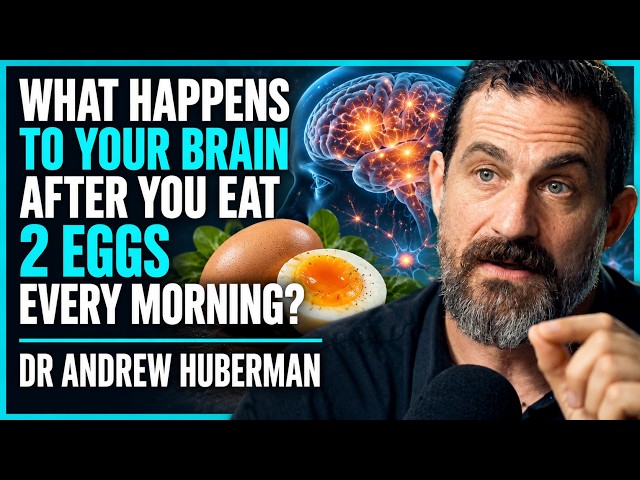 What Happens to Your Brain After You Eat 2 Eggs Every Morning? | Andrew Huberman