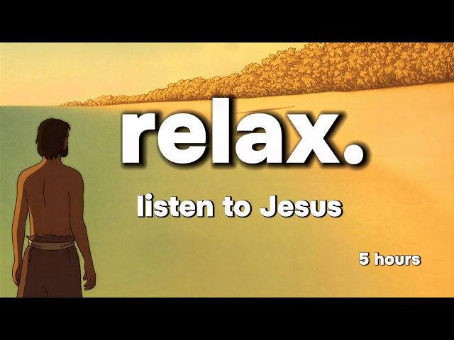 Listen to Everything Jesus Ever Said | Full Reading for Sleep, Studying, Resting