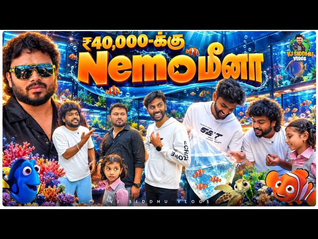 Fish-க்கு Food-ஆ தயிர் சாதம் போடுவீங்களா.!😱 | Vj Siddhu Vlogs