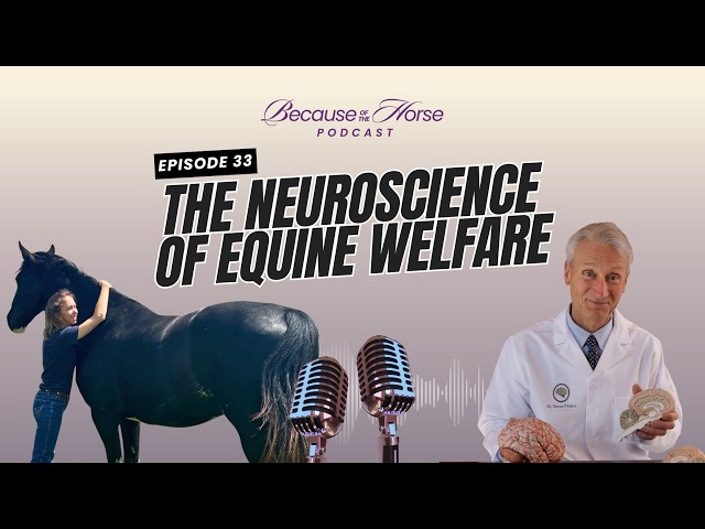 Dr. Stephen Peters: The Neuroscience of Equine Welfare