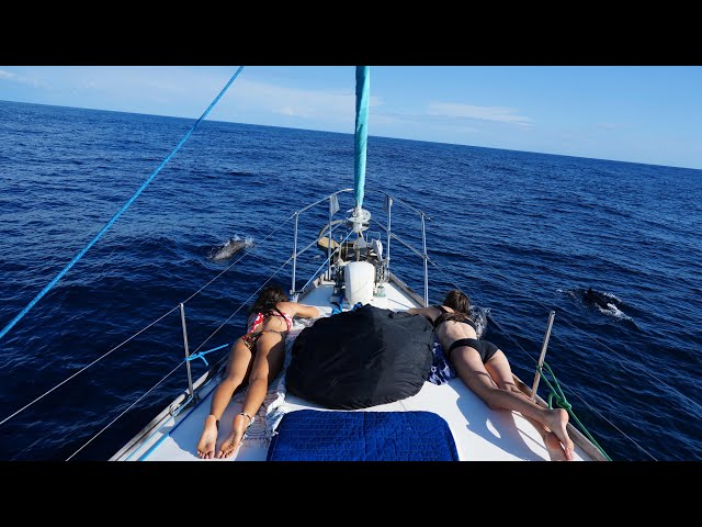 Sailing to Costa Rica Real Raw and unfiltered Episode 470