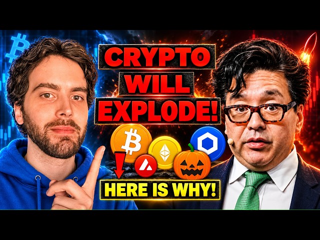 Why Crypto Is About To Explode! (Fully Explained in 11 minutes)